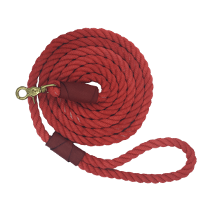 Leash PNG-72082